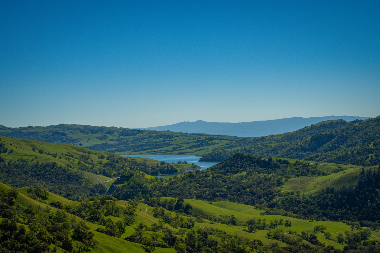 Your Promised Land— Deuteronomy 7:1